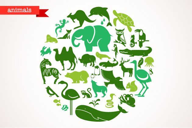 40个动物图标素材 Animals – set of 40 icons