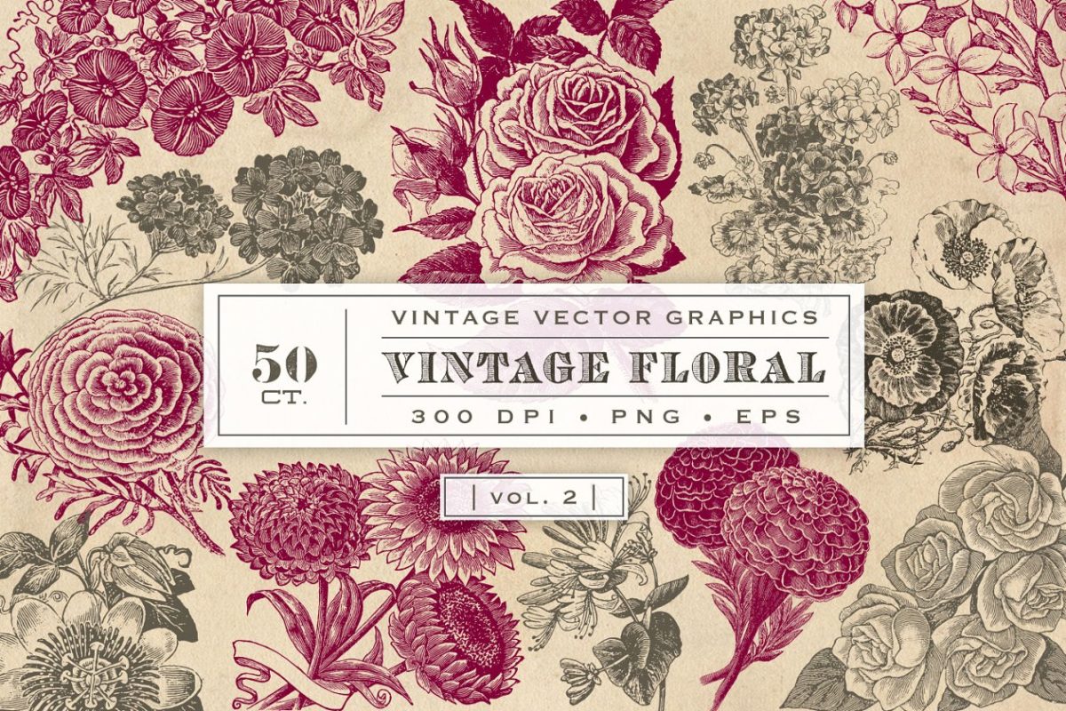 经典丰富复古的花卉素材包 Vintage Flower Vector Graphics 2