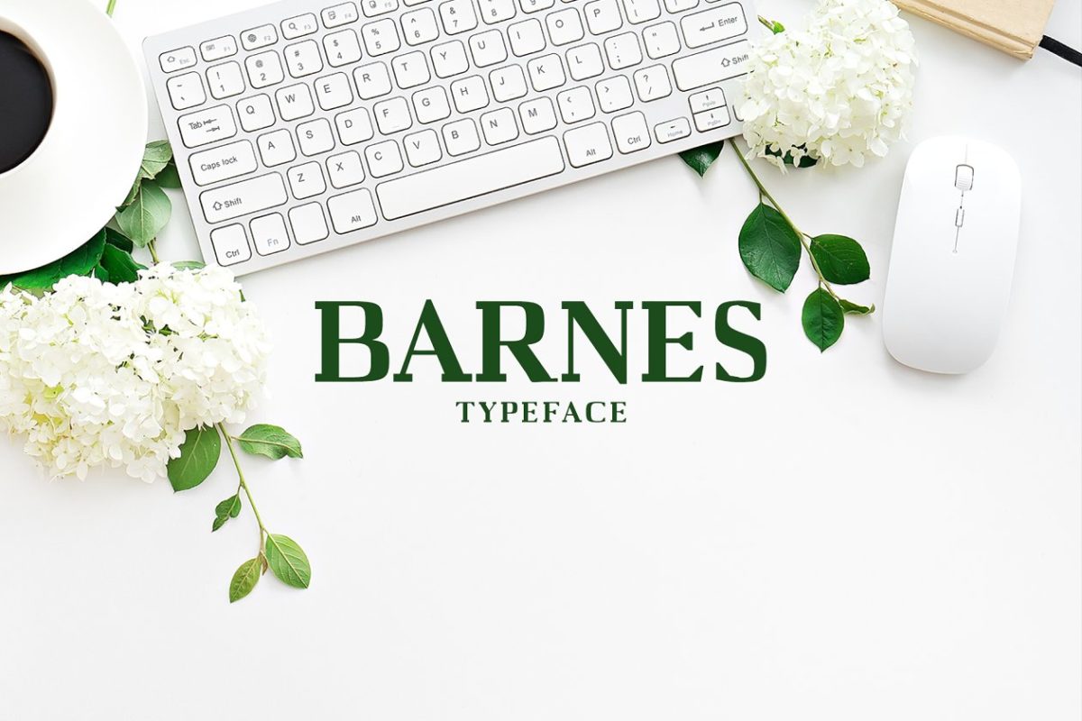 优雅的字体 Barnes Serif 7 Font Family Pack