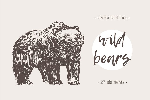 野生熊的插图 Illustrations of wild bears