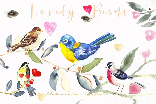 可爱的水彩彩色小鸟素材 Lovely birds.Watercolor clipart