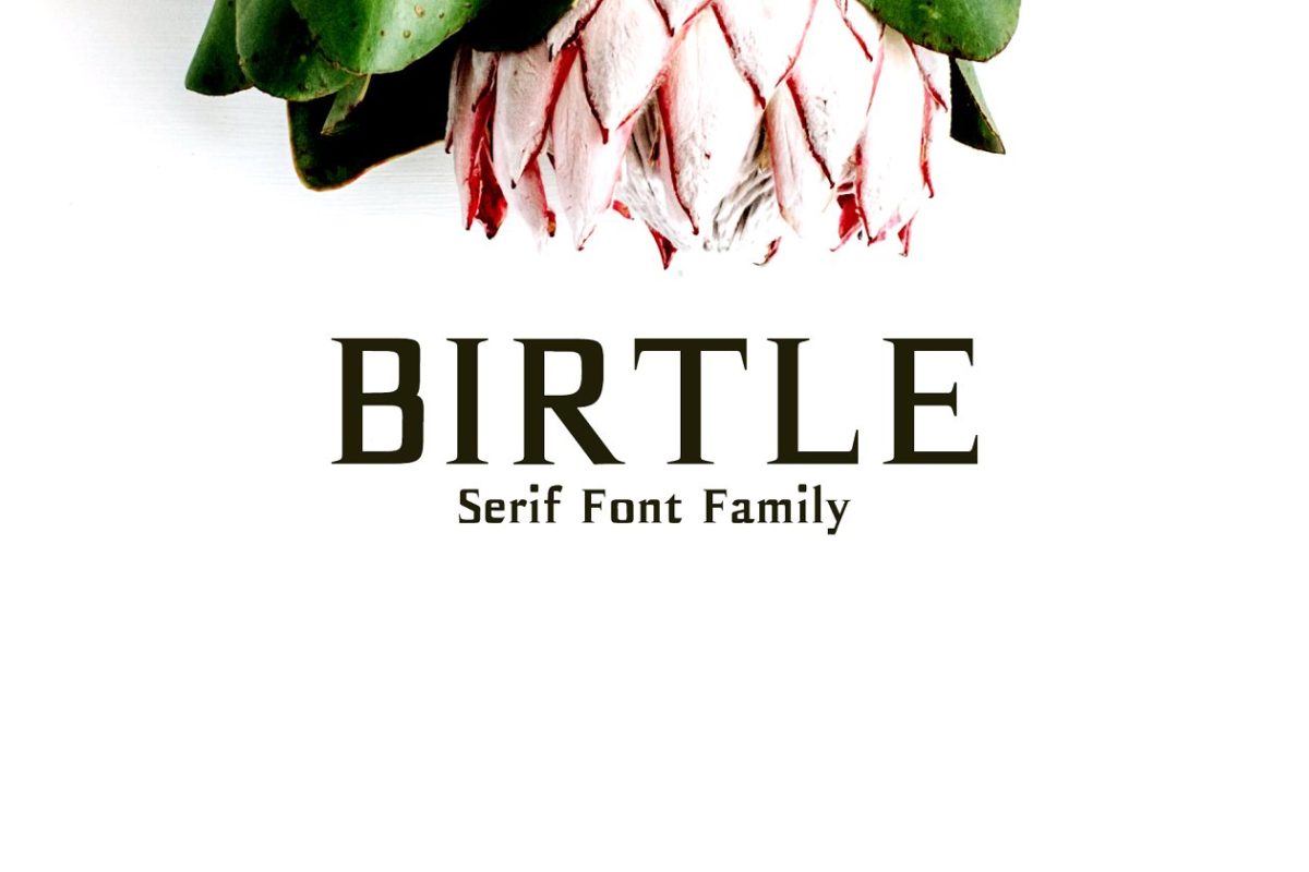 优雅设计字体 Birtle Serif 3 Font Family Pack