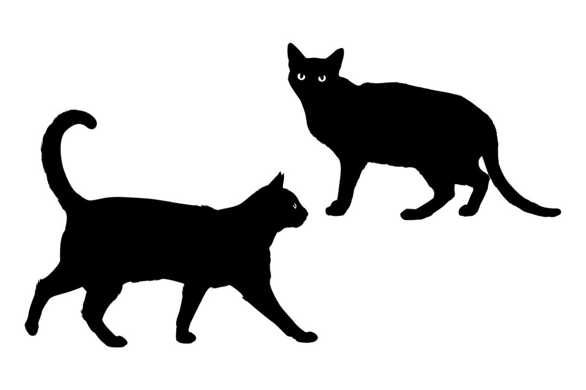 黑色猫矢量素材包 Black cat vector shape