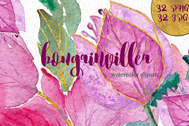 九重葛和紫红色的水彩画素材 Bougainvillea & fuchsia watercolor