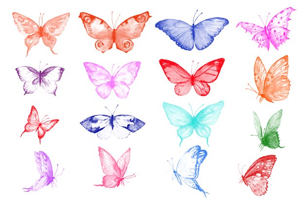 蝴蝶PS笔刷下载 Photoshop Brush Watercolor Butterfly
