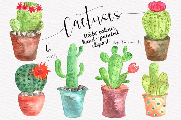 仙人掌水彩画素材 Cactuses Watercolor Collection
