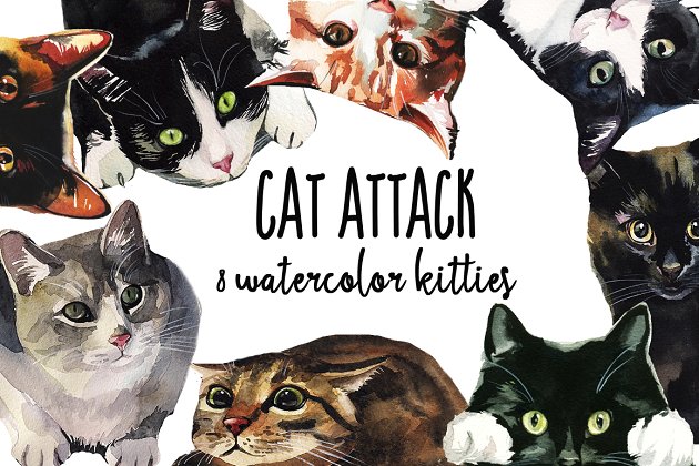 小猫水彩图形素材 Cat Attack Watercolor PNG Collection