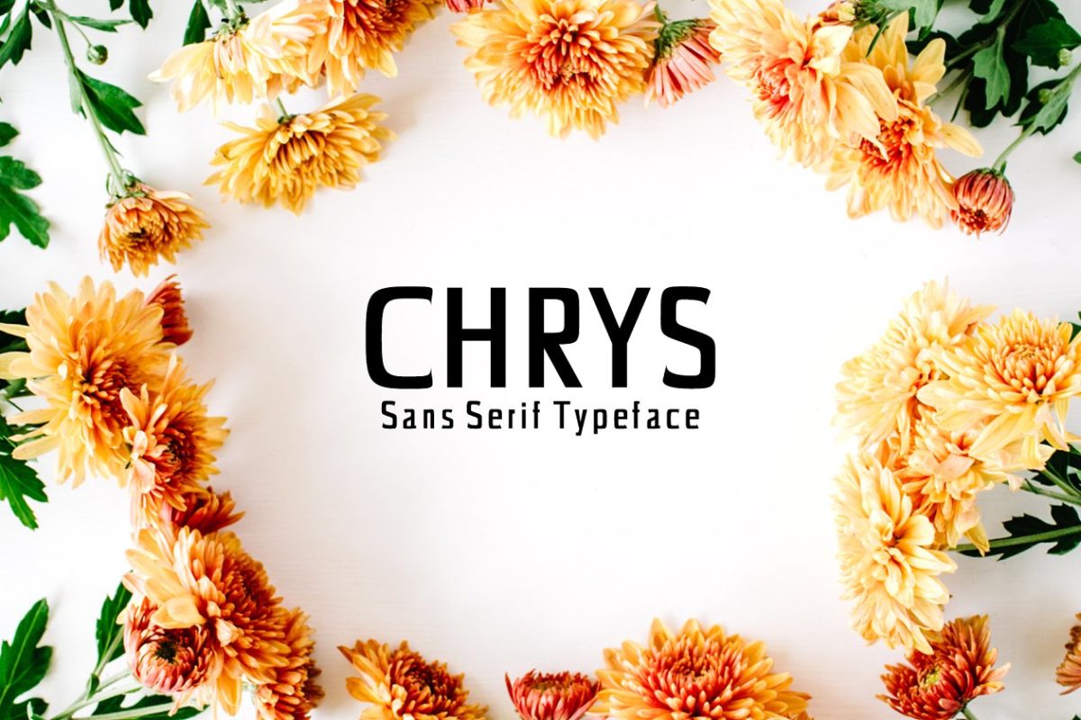 经典时尚设计字体 Chrys Sans Serif 4 Font Family Pack