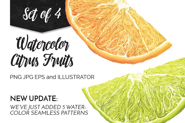 水彩画柑橘类水果素材 Watercolor Citrus Fruits
