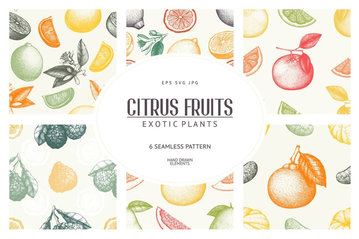 矢量柑橘类水果图案集 Vector Citrus Fruits Patterns Set