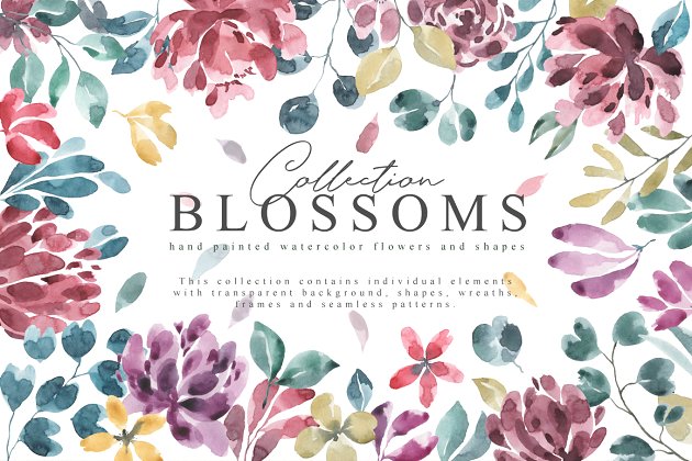 手绘花卉素材合集 Blossoms Collection Pro