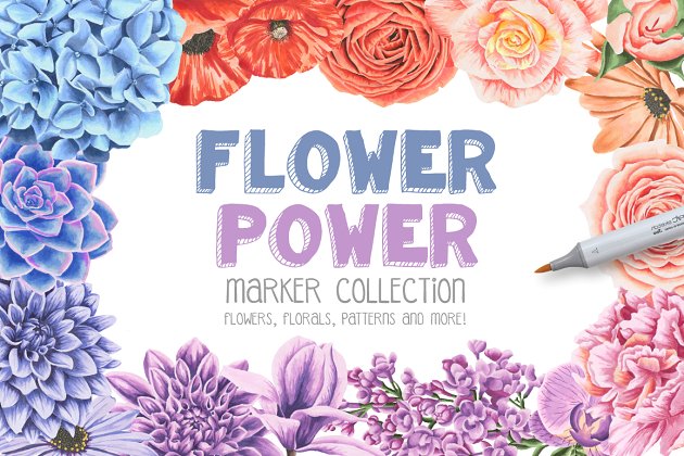 马克笔花卉素材合集 Flower Power Marker Collection Pro