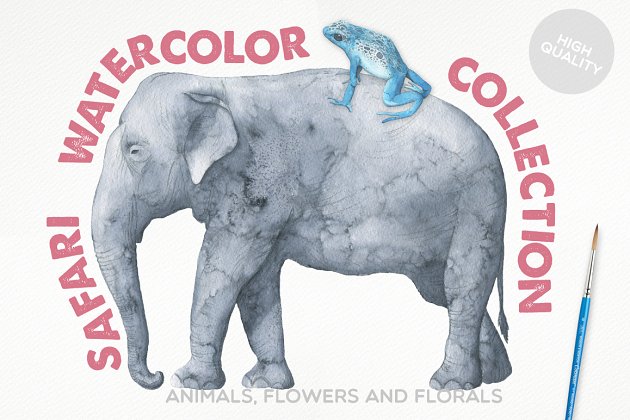 野生大象水彩图形 Safari Watercolor Collection Pro