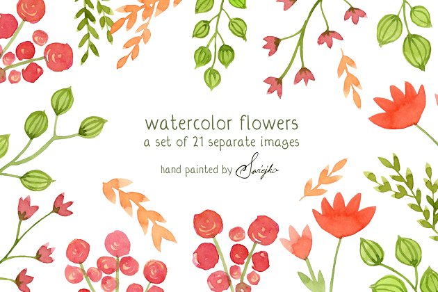 水彩花卉素材 Watercolor Flowers, Floral