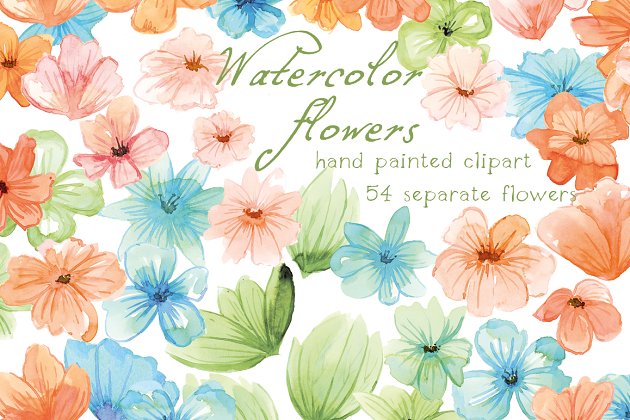 水彩花卉插画 Watercolor Flowers, Floral