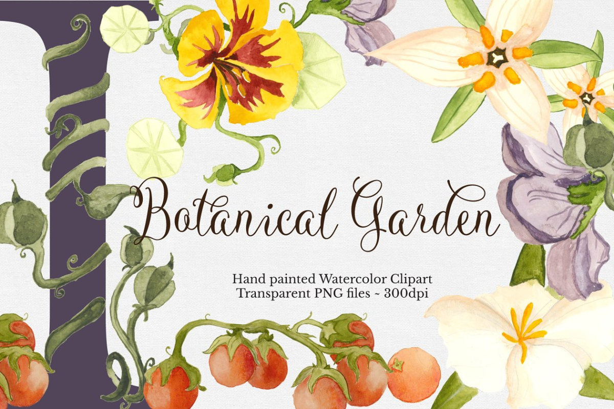 植物水彩集 Botanical Watercolor Set