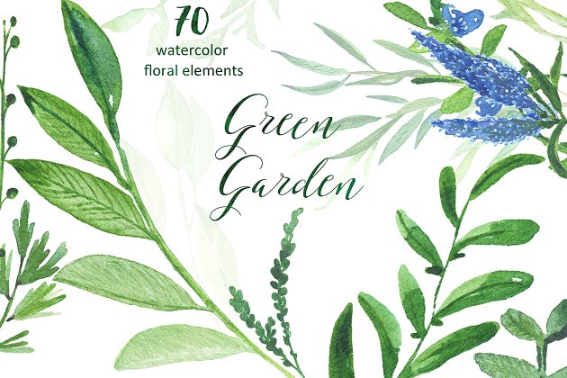 绿色水彩植物素材 Green garden. Watercolor collection