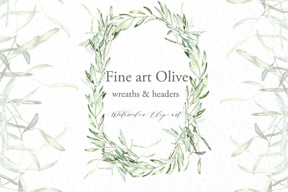 橄榄枝绘画素材 Olive oval wreaths & headers clipart