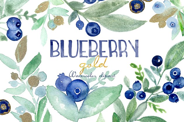 蓝莓水彩画素材 Blueberry gold. Watercolors