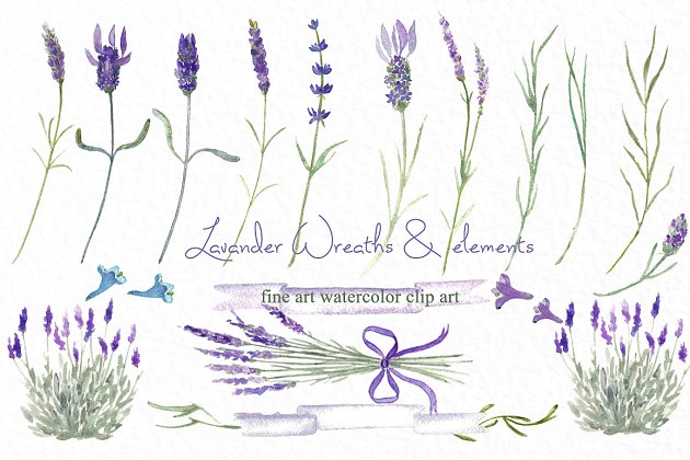 薰衣草水彩素材 Lavender wreaths watercolor flowers