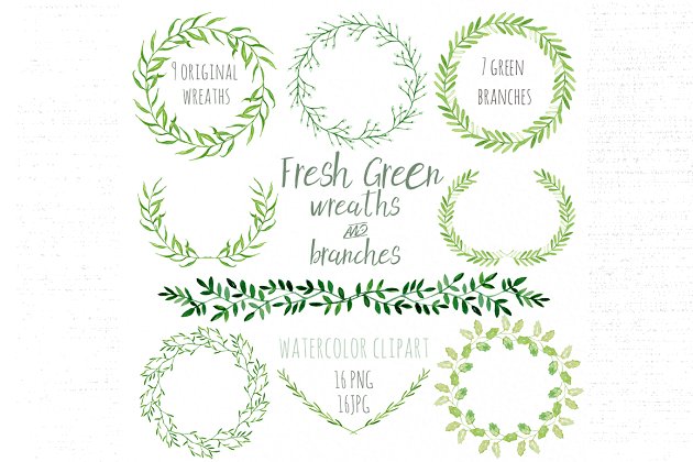 新鲜植物图形与花环素材 Fresh green branches & wreath