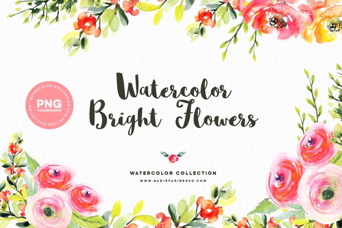 名快的水彩花卉素材 Watercolor Bright Flowers