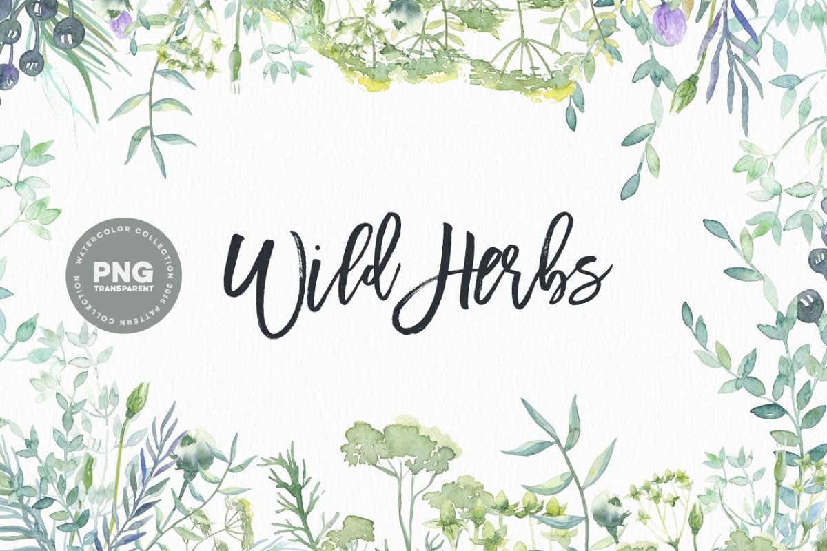 野菜水彩图形素材 Watercolor Wild Herbs