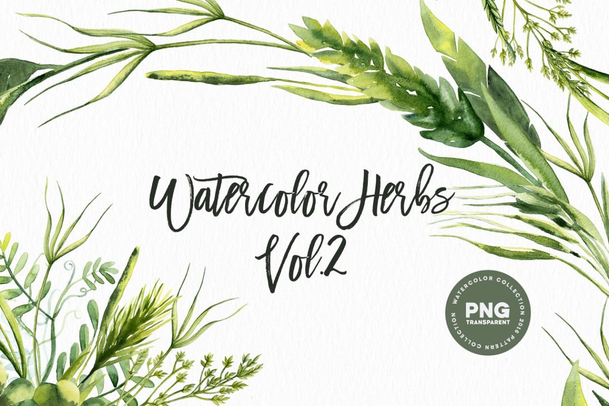 水彩画草药素材包 Watercolor Herbs Vol.2