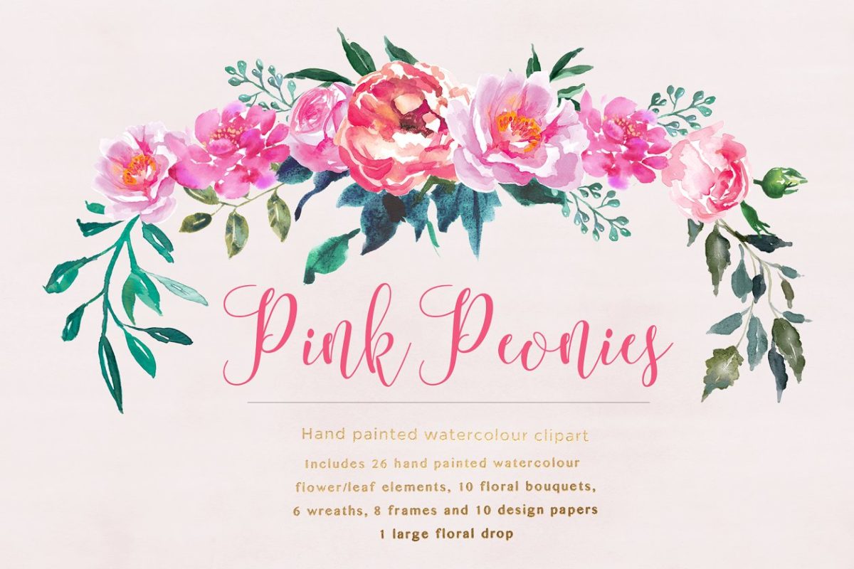 牡丹粉红色的花卉素材 Peonies Pink Flower Clipart