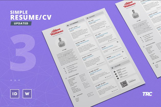 简单简历模板 Simple Resume/Cv Template Volume 3