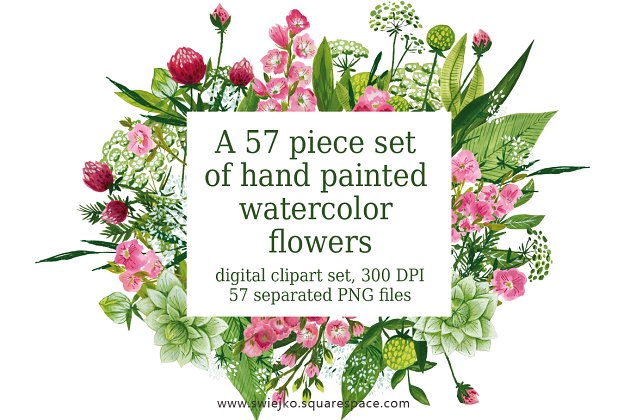 水彩花卉插画素材 Watercolor flowers, painting