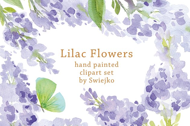 水彩丁香花素材 Watercolor Lilac Flowers, Butterfly