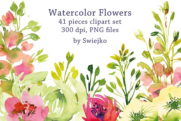 水彩花园花卉插画 Watercolor Garden Flowers