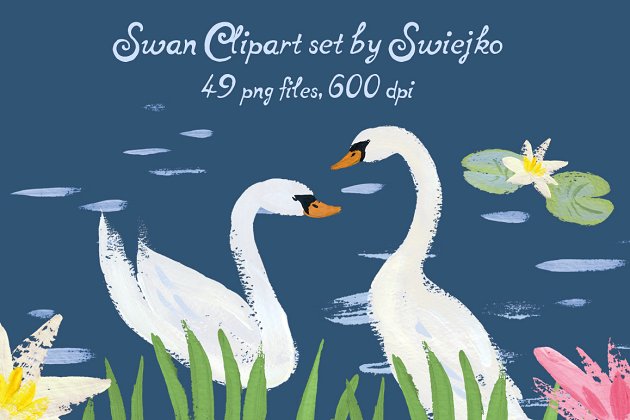 天鹅湖插图 Swan Lake Clipart