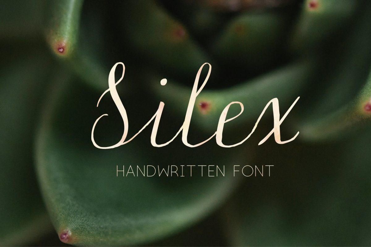 现代风格手写字体 Silex. Modern calligraphy