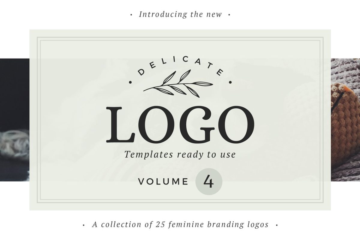 精美的logo设计模板 Delicate Logos – Volume 04