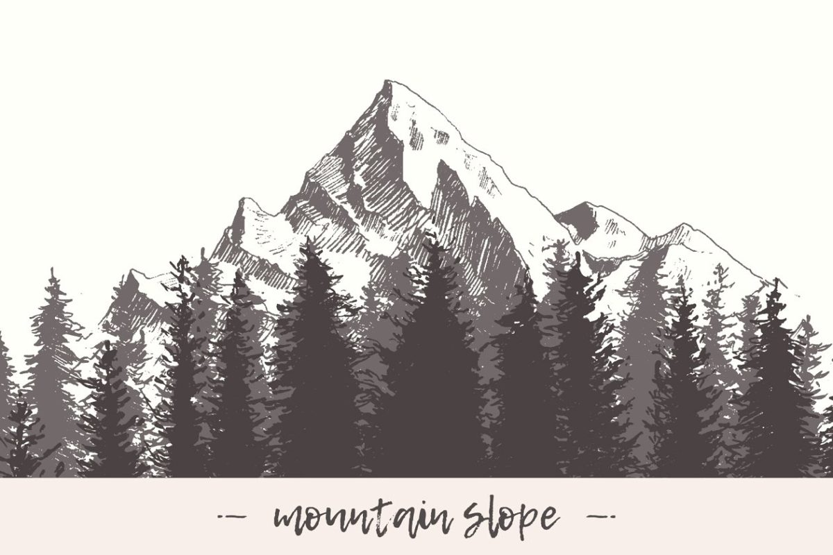 山坡素描素材插画 Mountain slope with a fir forest
