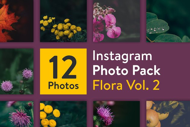 ins社交图片模板 Instagram Photo Pack – Flora Vol. 2
