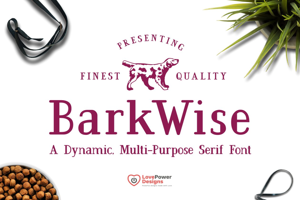 多用途衬线字体 BarkWise – Multi-Purpose Serif Font