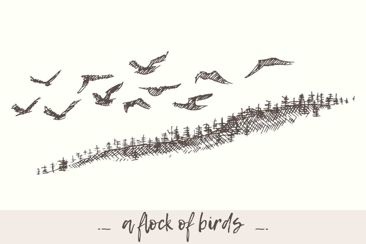 飞翔的鸟群插画 Flying flock of birds