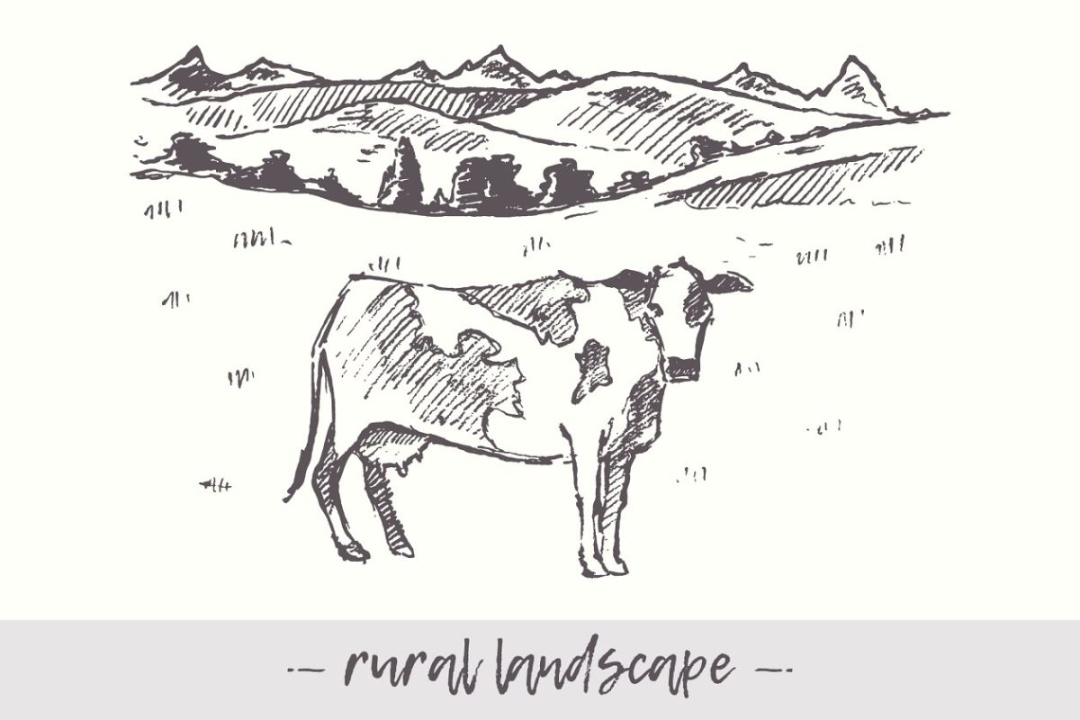 农村景观和牛的插画 Rural landscape and cow