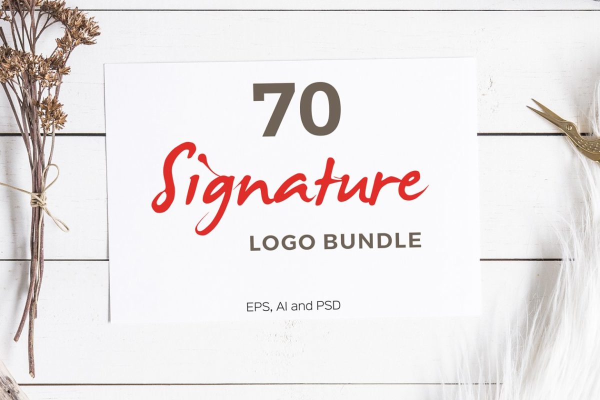 70个签名标志模板 70 Signature Logo Bundle
