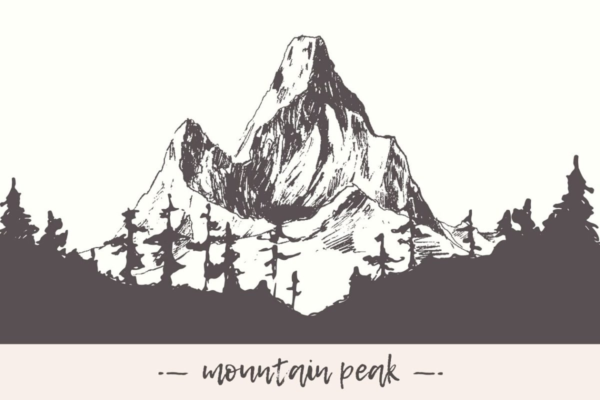 山地景观以松林为主的素描插画 Mountain landscape with pine forest
