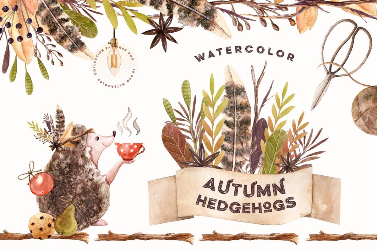 秋季水彩刺猬相关素材 Watercolor Autumn Hedgehogs