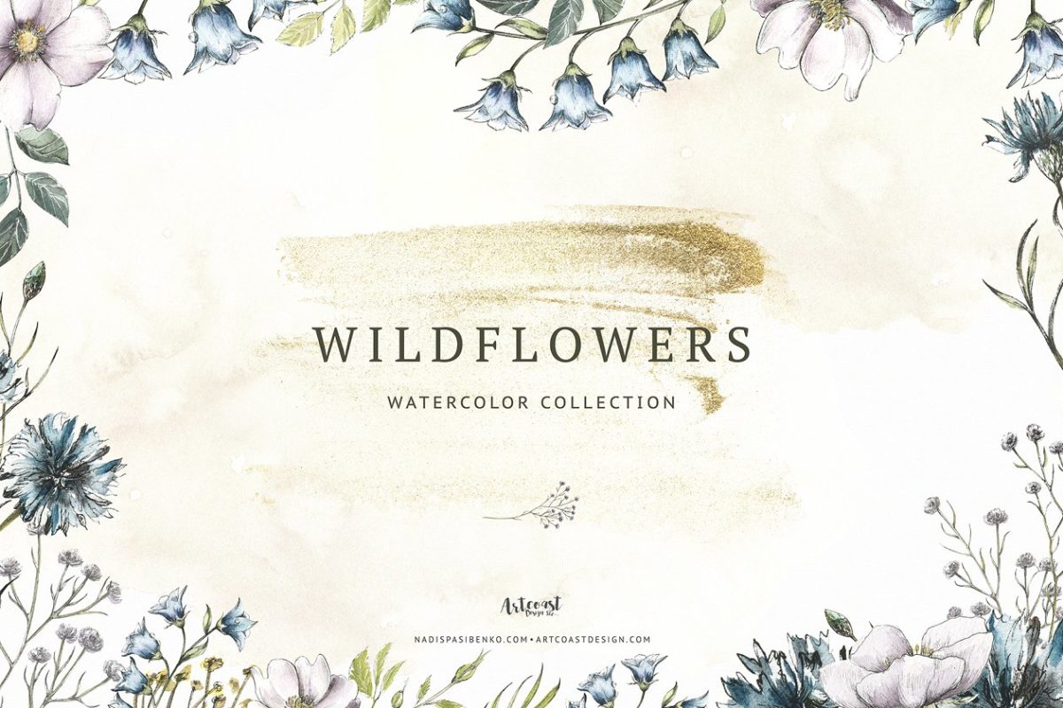 随意的野花花卉素材包 Wildflowers