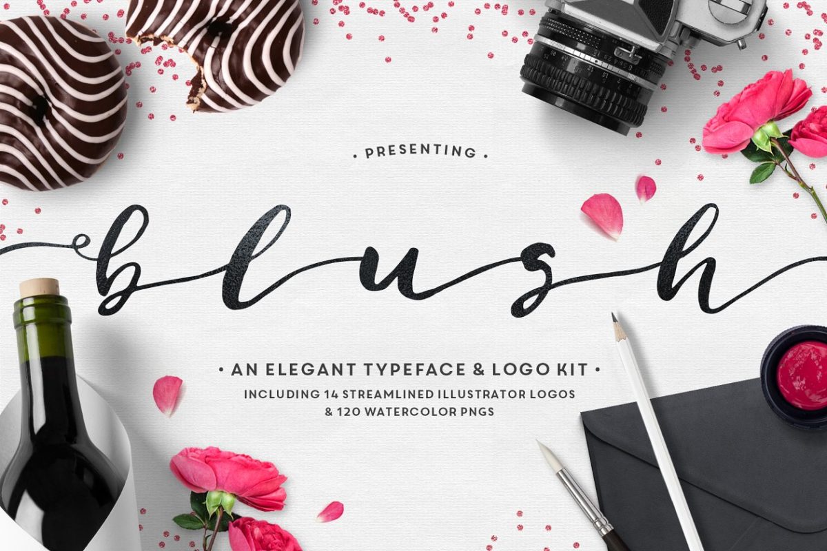狂草的字体效果 Blush Typeface + Logo Kit (AI)