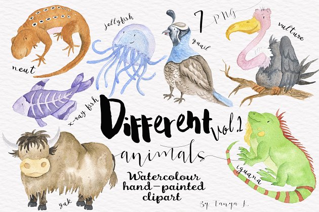 不同的水彩绘制动物素材第二版 Different Watercolor Animals Vol.2