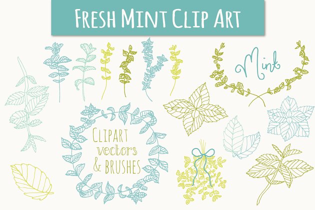 简单的植物花卉素材 Mint Clip Art & Vectors