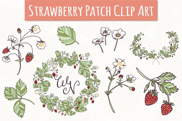 草莓植物花卉素材 Strawberry Patch Clip Art & Vectors