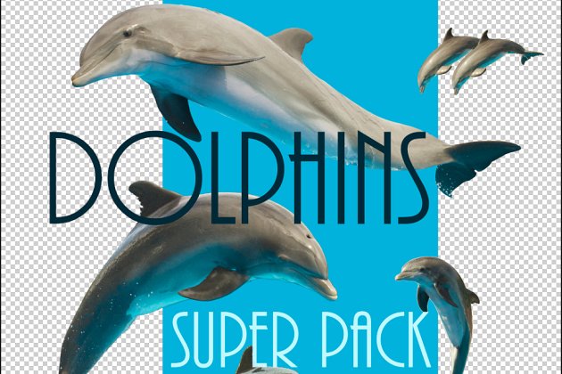 海洋海豚素材 Set of isolated dolphins + sea